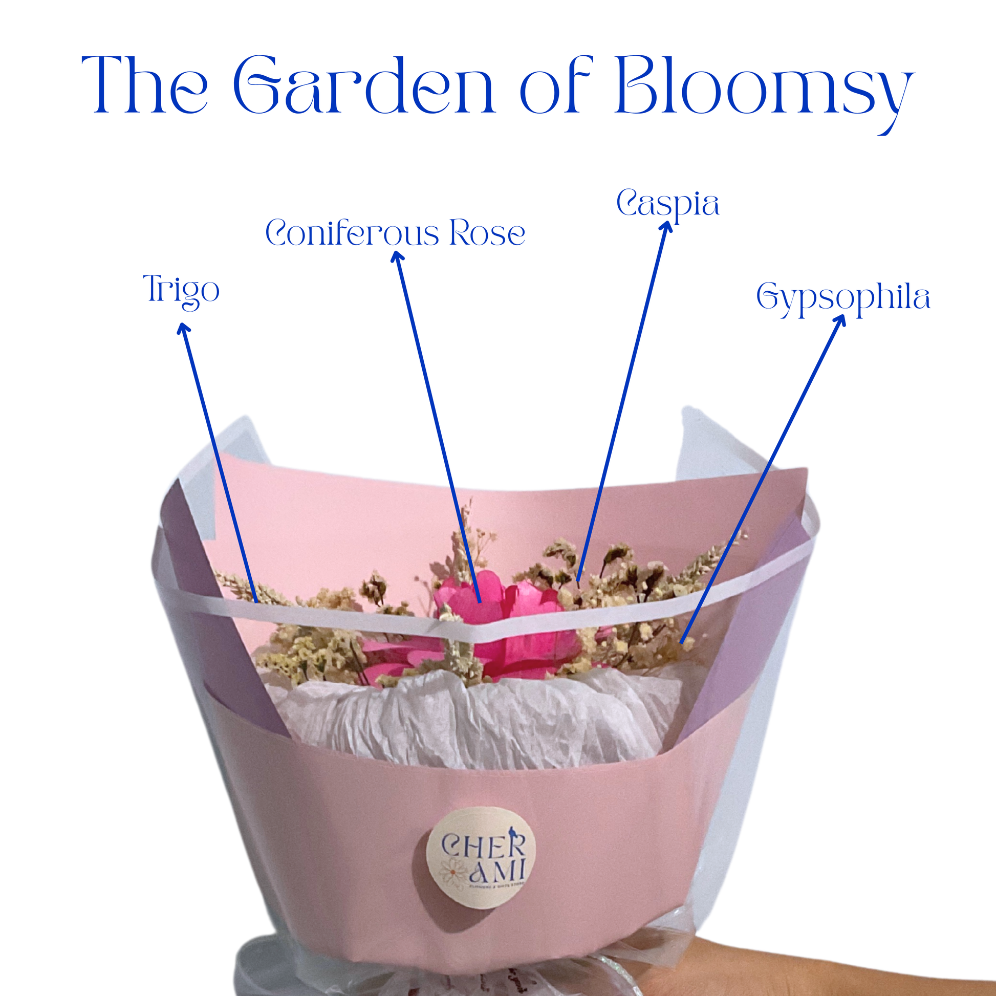 Bloomsy