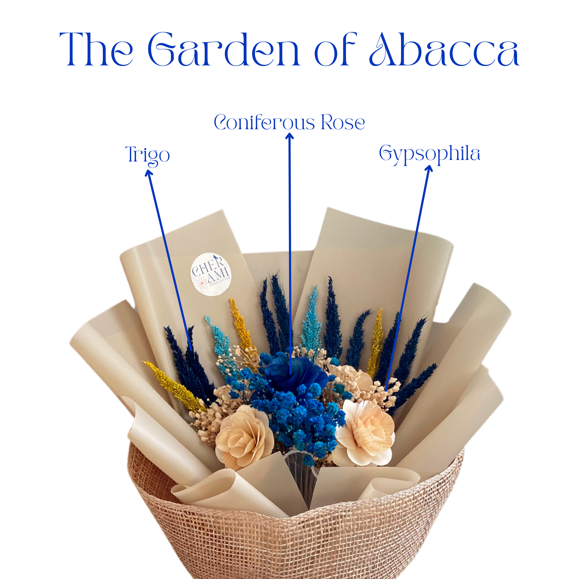 Abacca