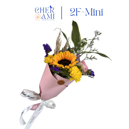 2F-Mini