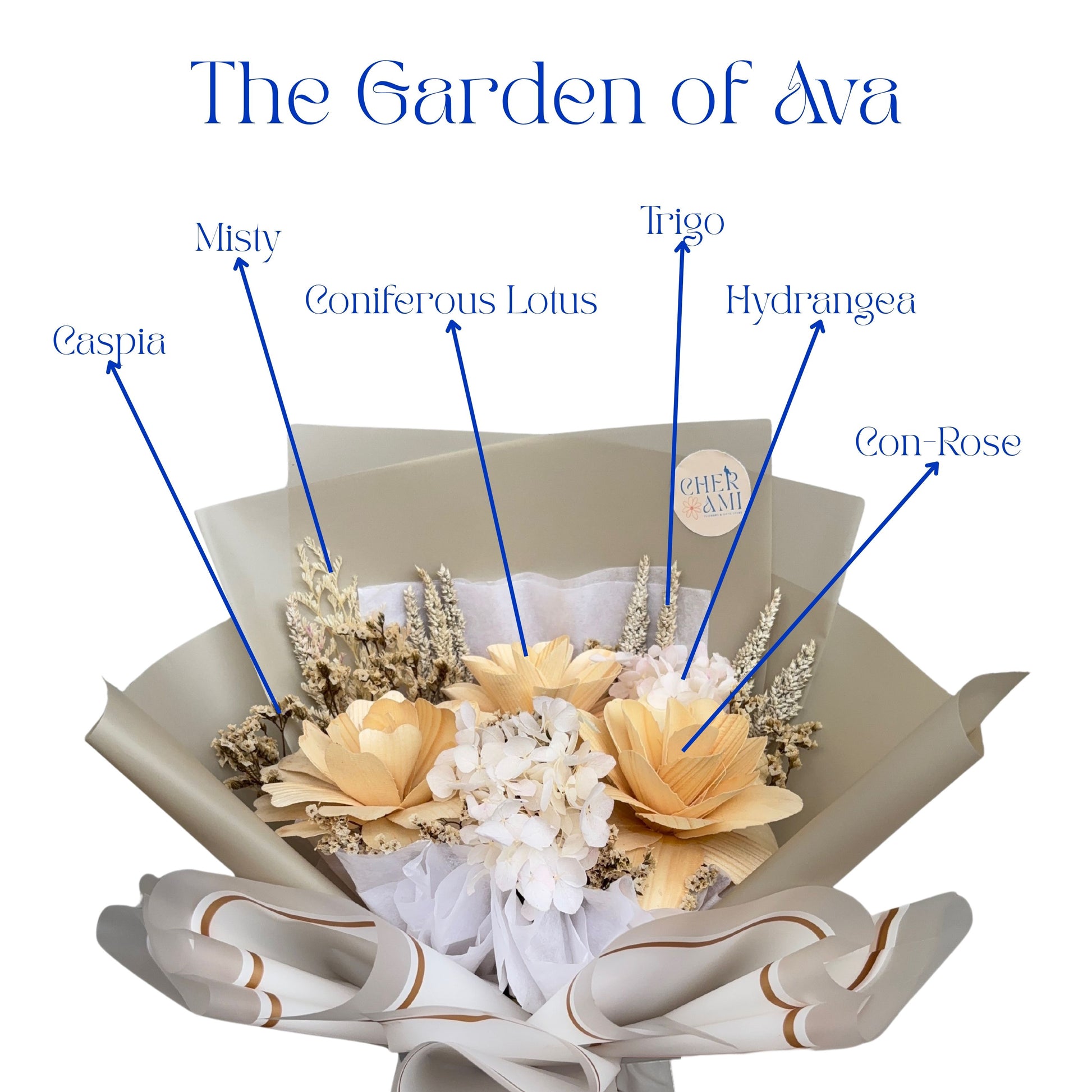 Ava (New) - Pampanga Only