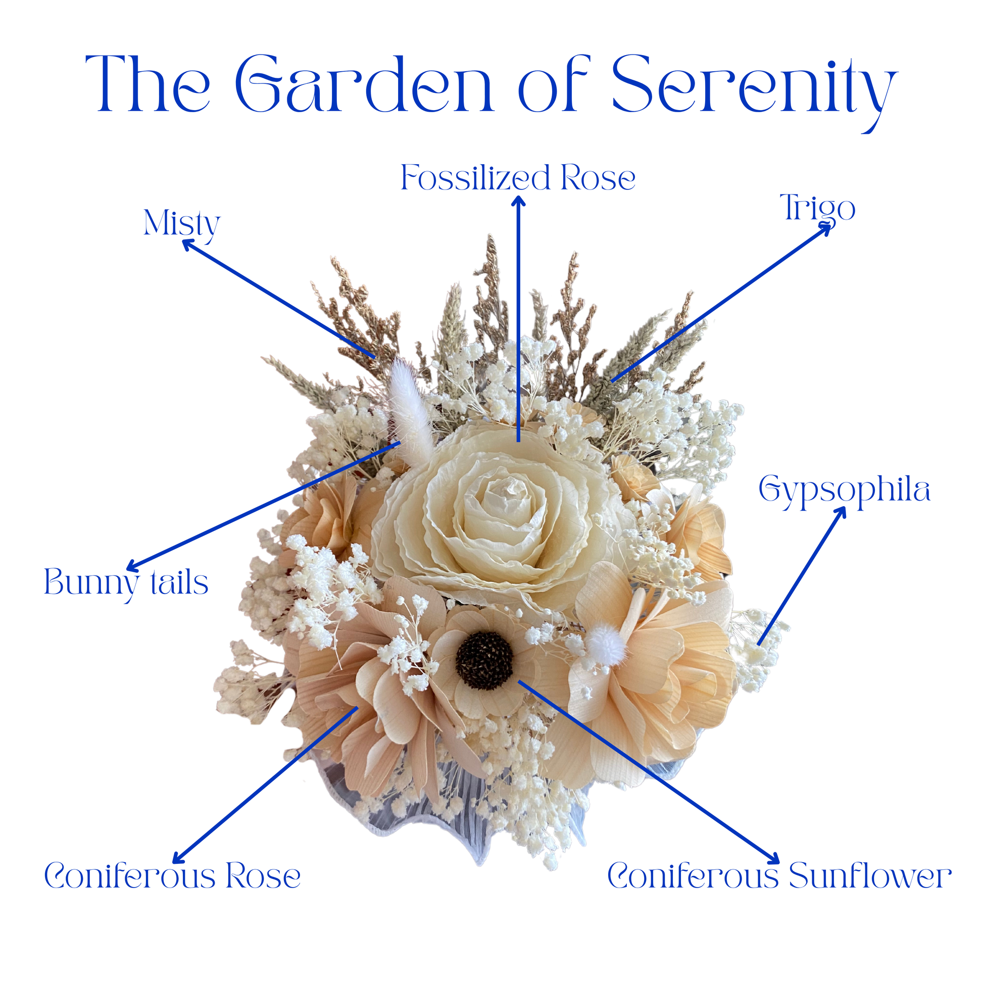 Serenity