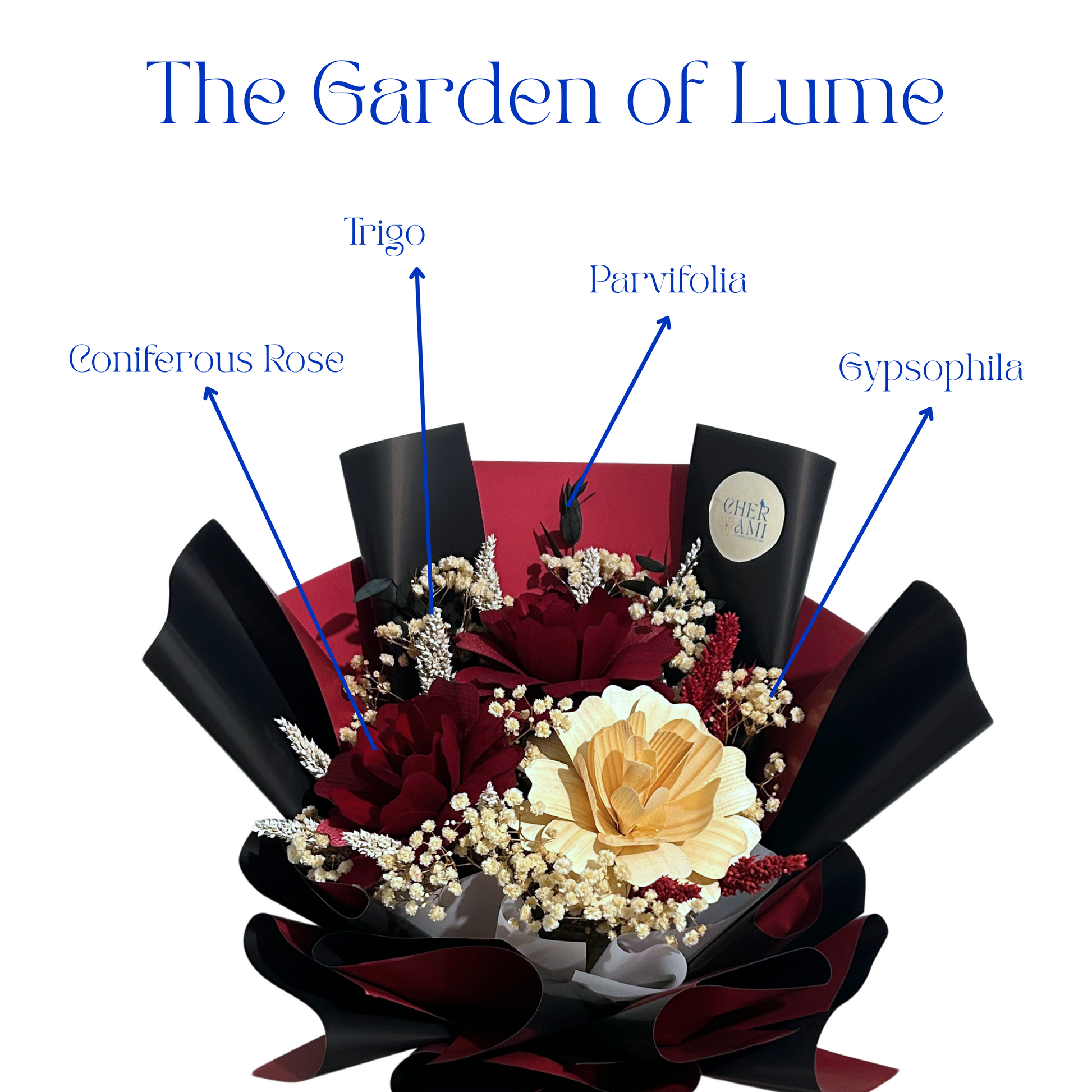 Lume (Best Seller)