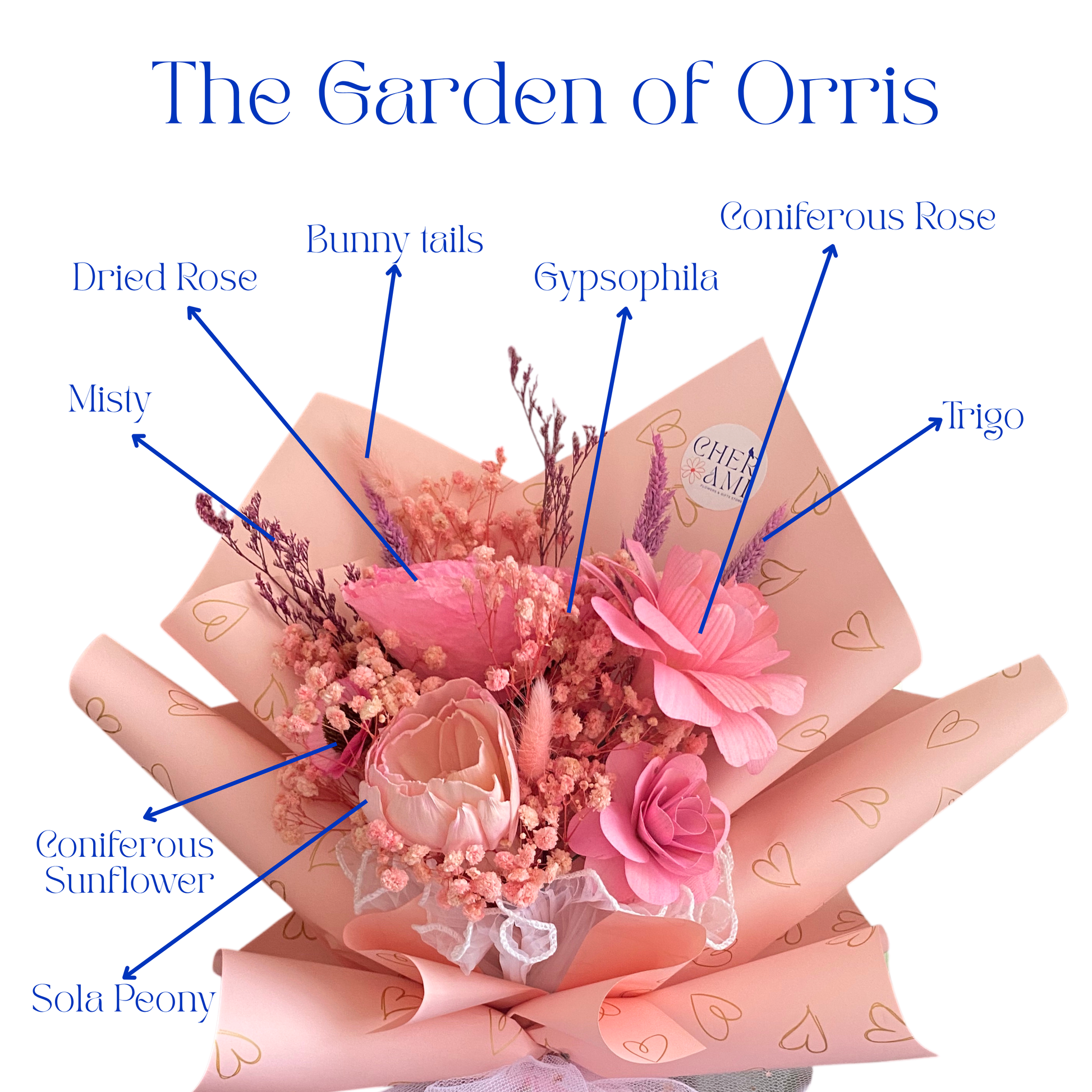 Orris