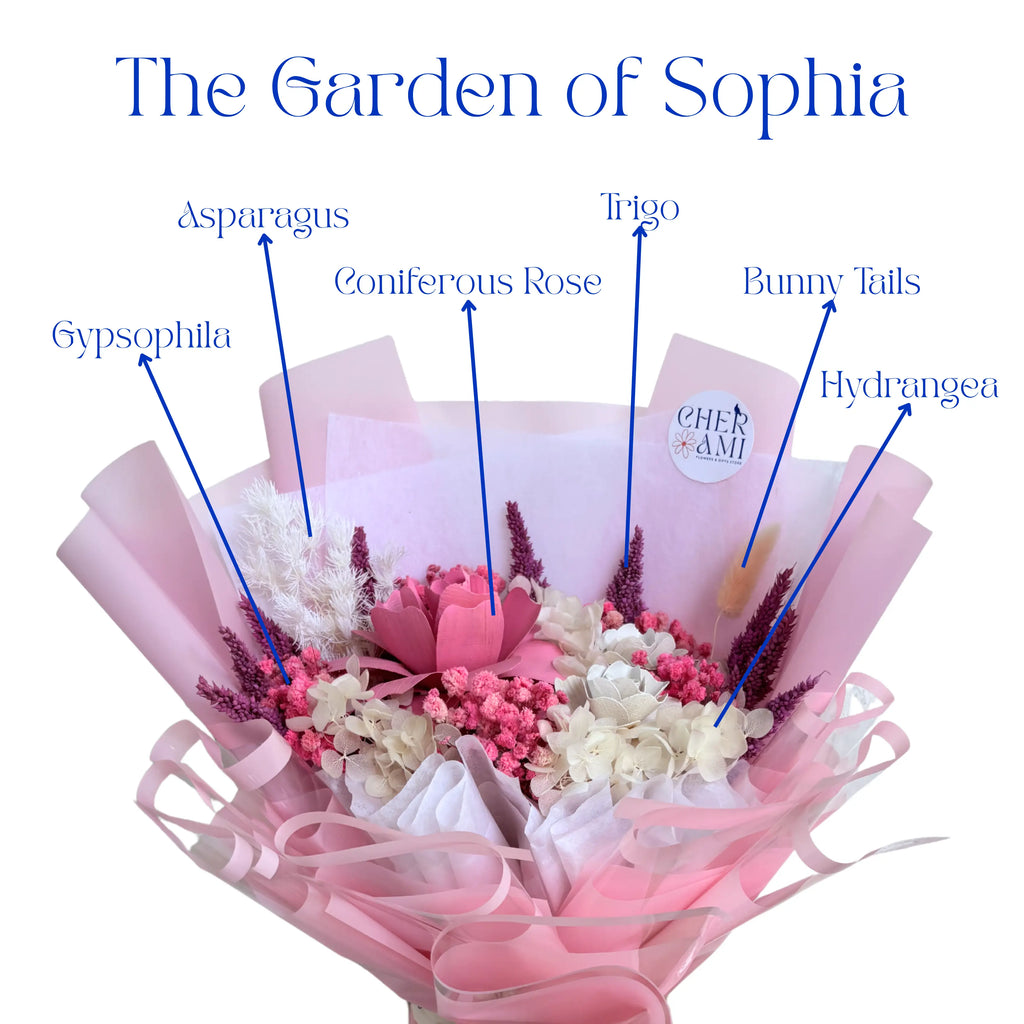 Sophia (New)